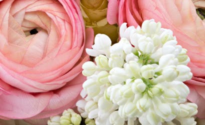 Milwaukee Florist Same Day Flower Delivery Milwaukee Welke S