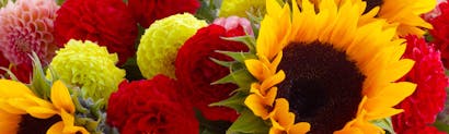 Milwaukee Florist Same Day Flower Delivery Milwaukee Welke S Florist