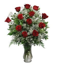 Dozen Premium Roses Vased with Filler - Choose your Color