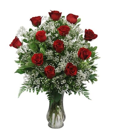 Dozen Premium Roses Vased with Filler - Choose your Color