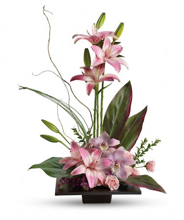 Imagination Blooms With Cymbidium Orchids