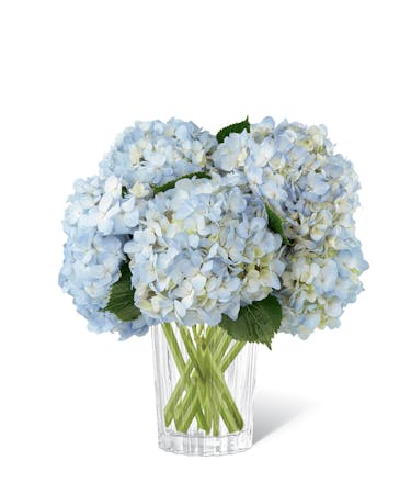 Joyful Inspirations Bouquet by Vera Wang | Milwaukee (WI) Flower ...