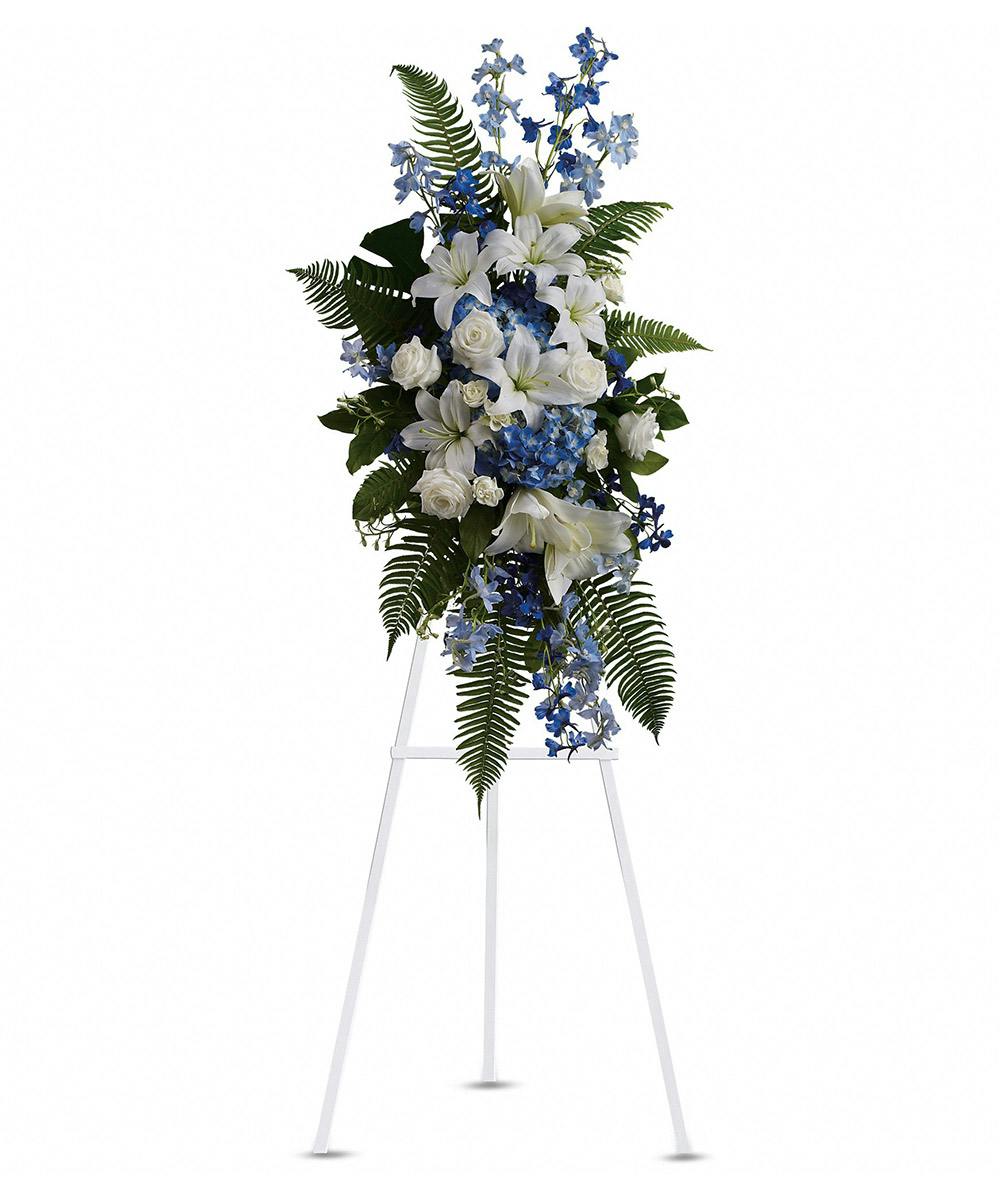 Ocean Breeze Spray Milwaukee (WI) Sympathy Flowers Delivered Welke's