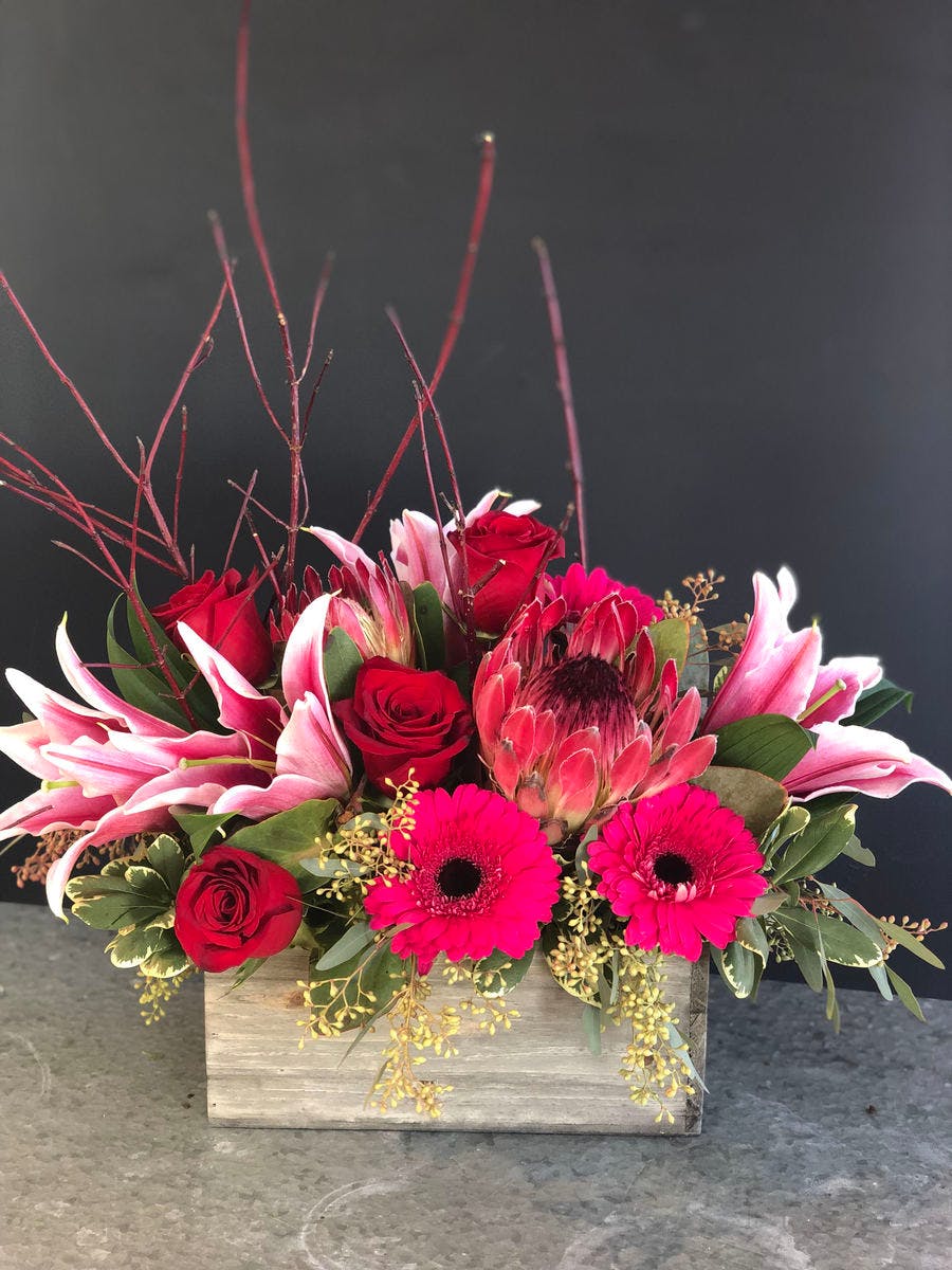 Protea Passion Milwaukee (WI) Exotic Flowers Delivered Welke's Florist